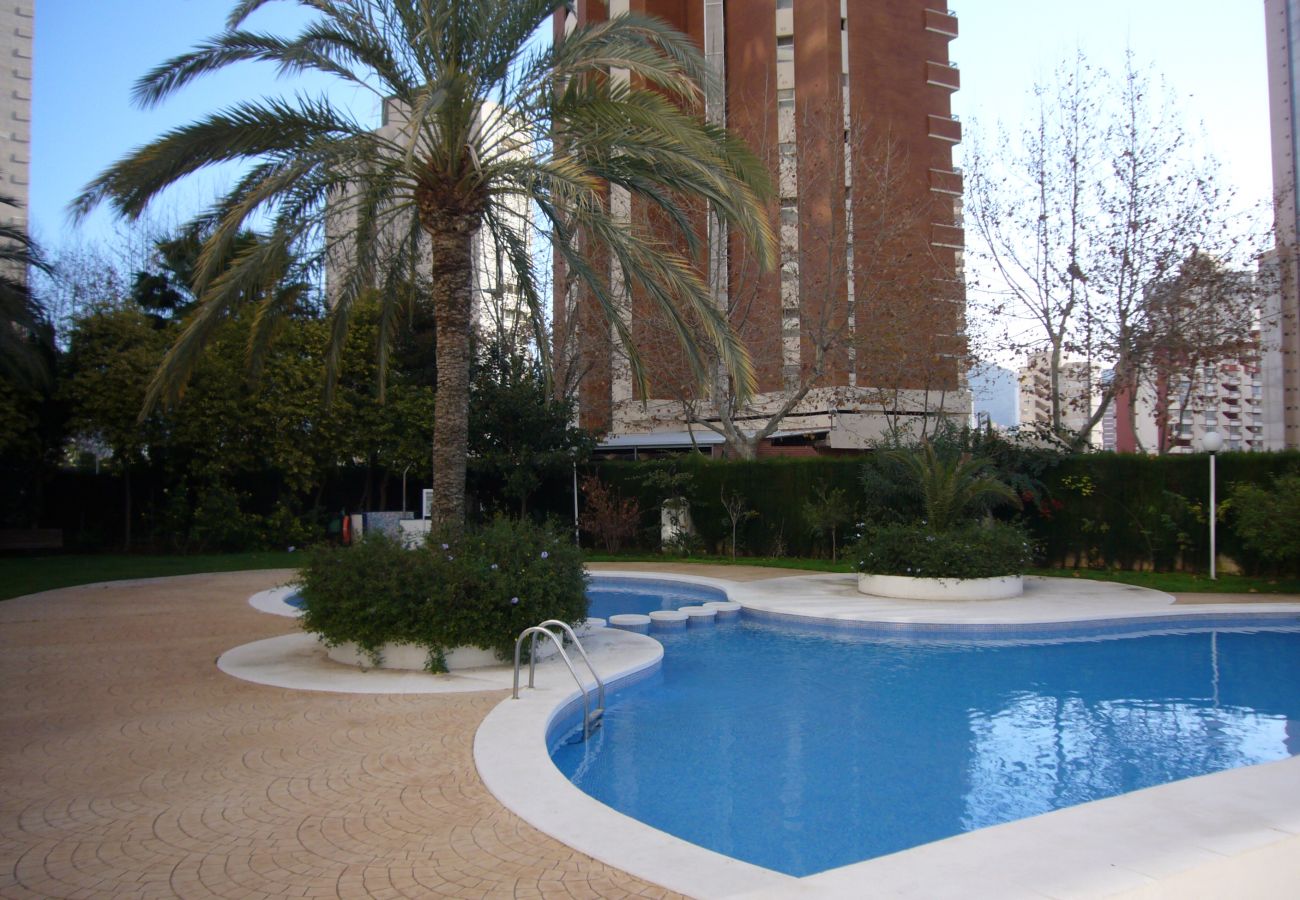 Apartment in Benidorm - PARQUE EUROPA (1 BEDROOM)