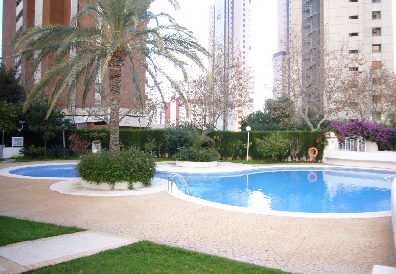 Apartment in Benidorm - PARQUE EUROPA (1 BEDROOM)