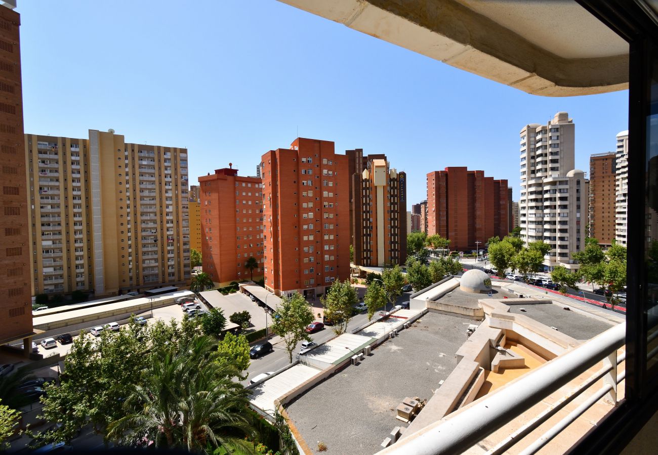 Apartment in Benidorm - PARQUE EUROPA (1 BEDROOM)