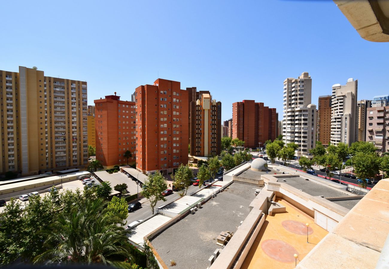 Apartment in Benidorm - PARQUE EUROPA (1 BEDROOM)