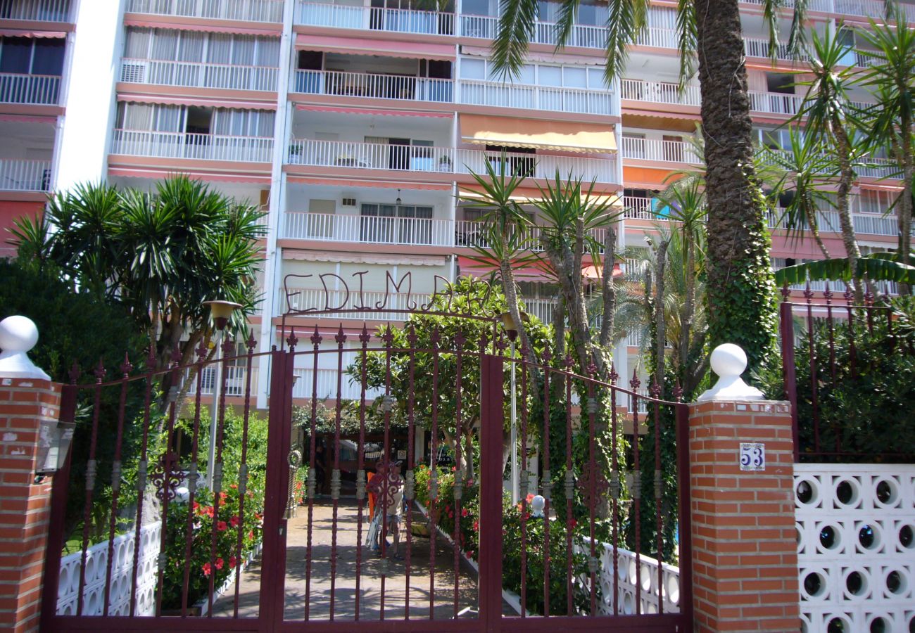 Apartment in Benidorm - EDIMAR (3 BEDROOMS) BENIDORM