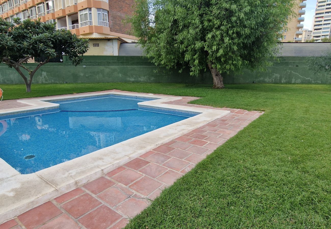 Apartment in Benidorm - GEMELOS 4 (2 BEDROOMS)