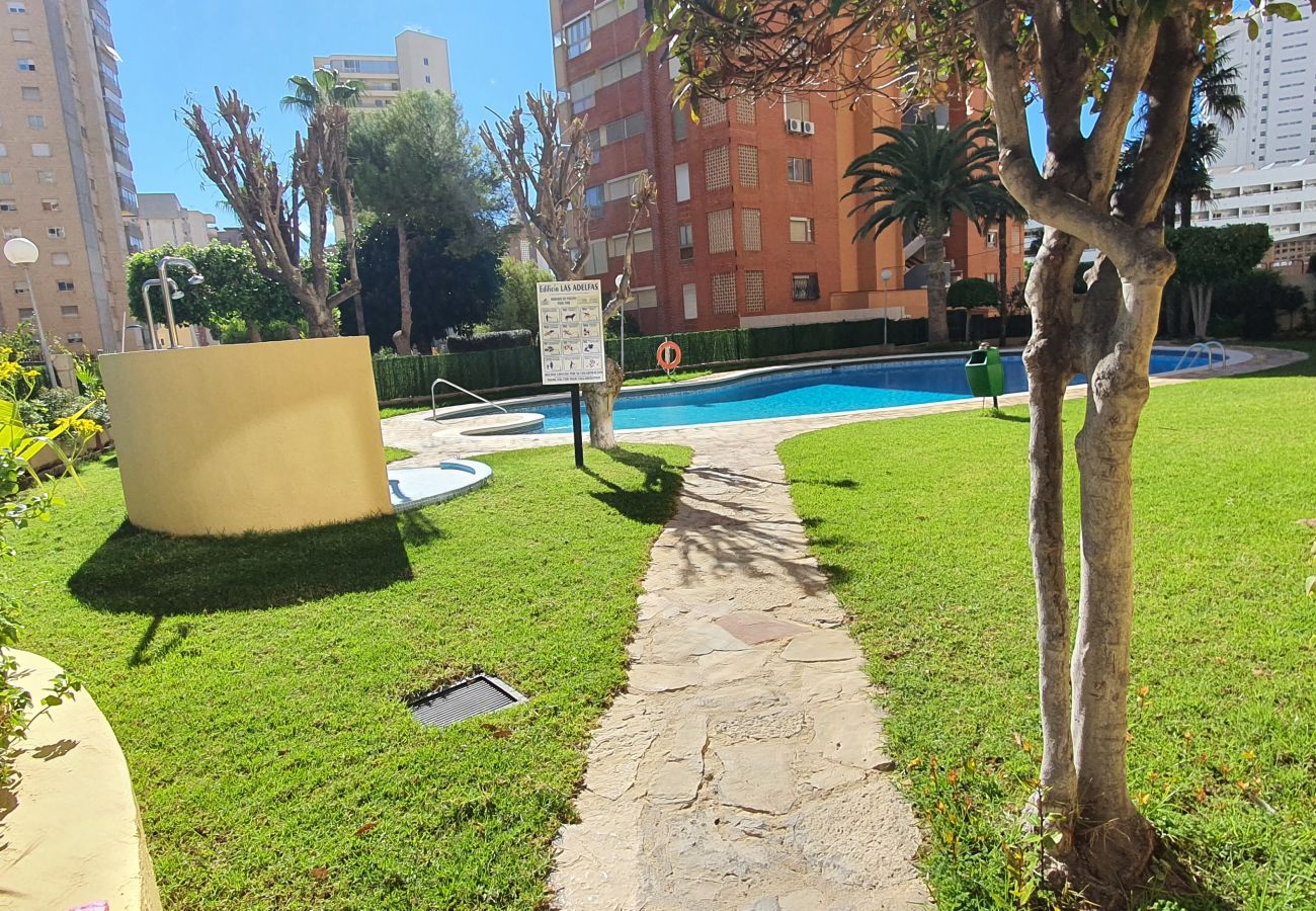 Apartment in Benidorm - LAS ADELFAS (2 BEDROOM)