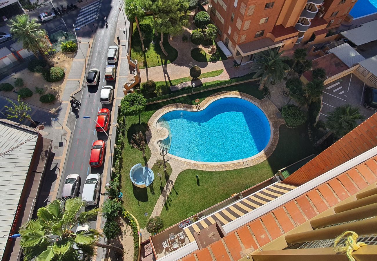 Apartment in Benidorm - LAS ADELFAS (2 BEDROOM)