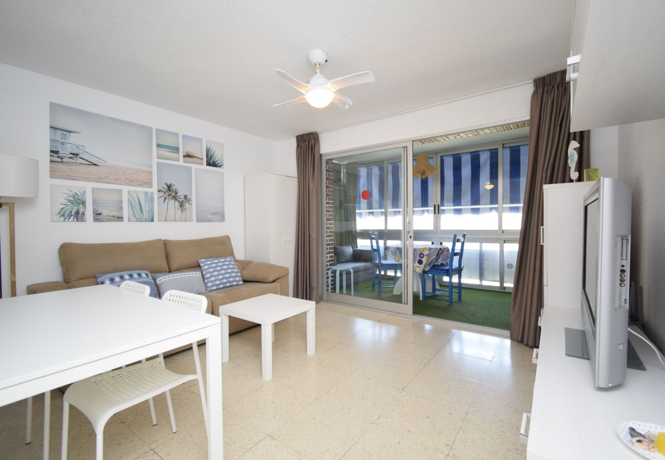 Apartment in Benidorm - TORRE SAN SEBASTIAN (1 BEDROOM)