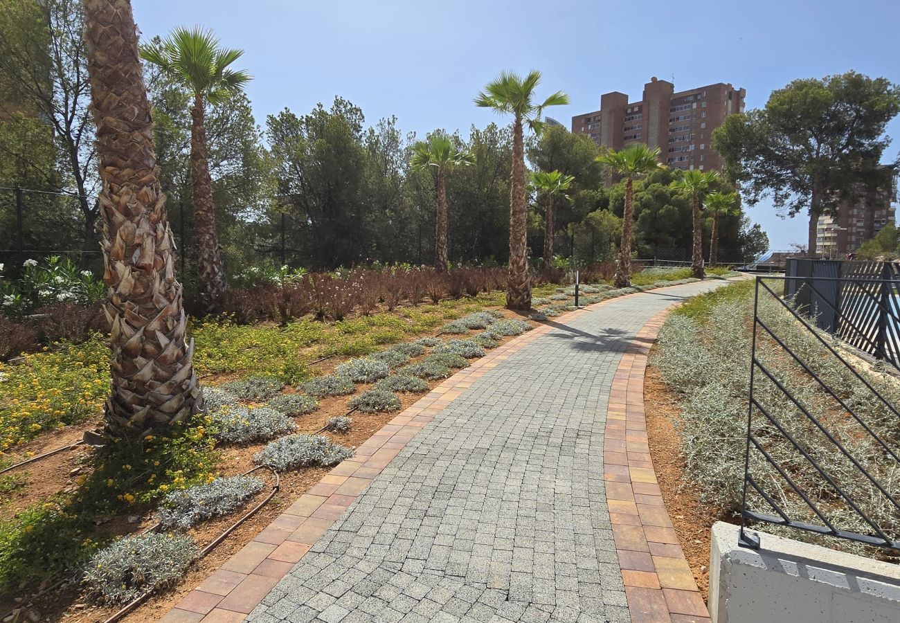 Apartment in Benidorm - BENIDORM BEACH (2 BEDROOMS)