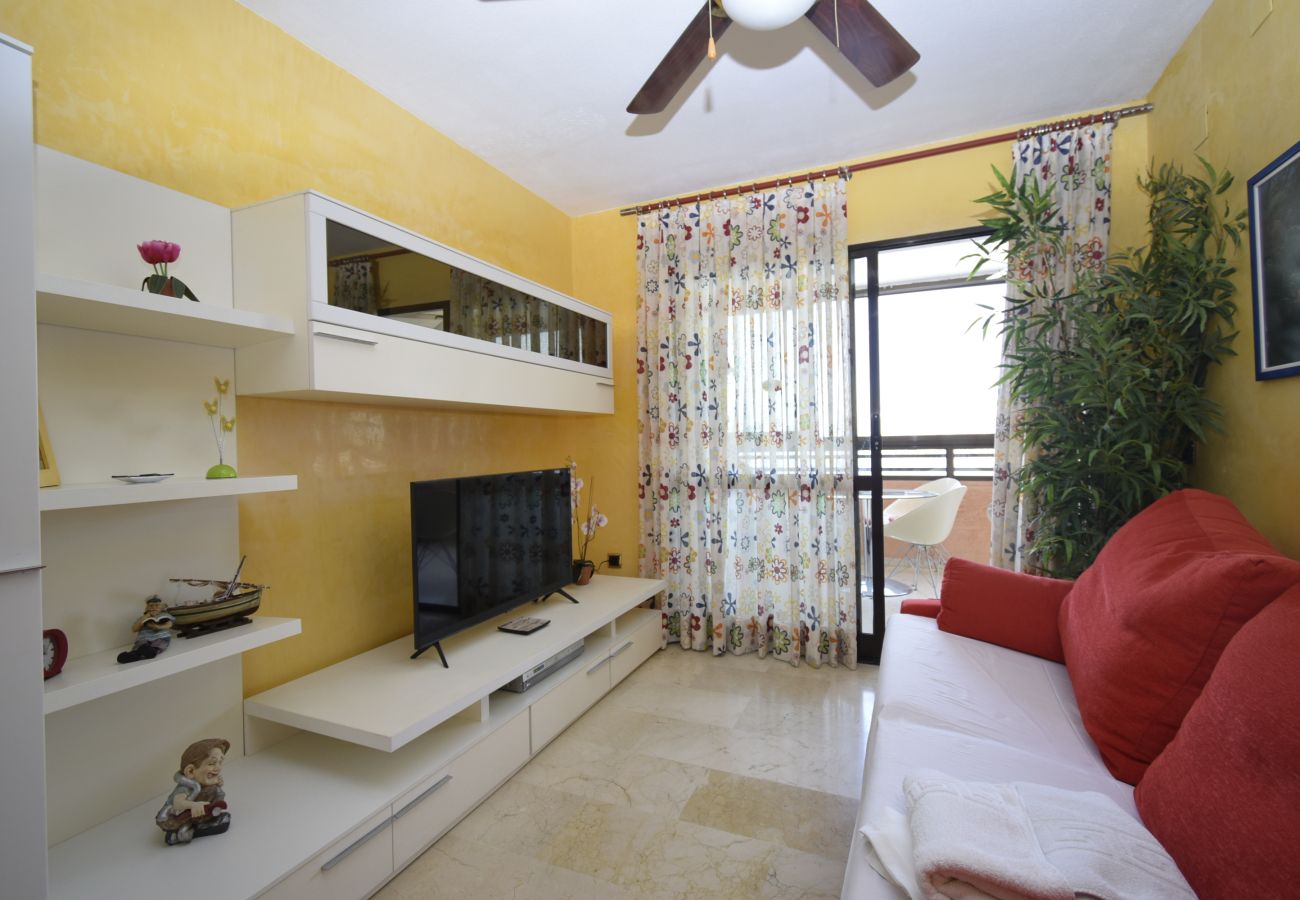 Apartment in Benidorm - TRINISOL 2 (1 BEDROOM)