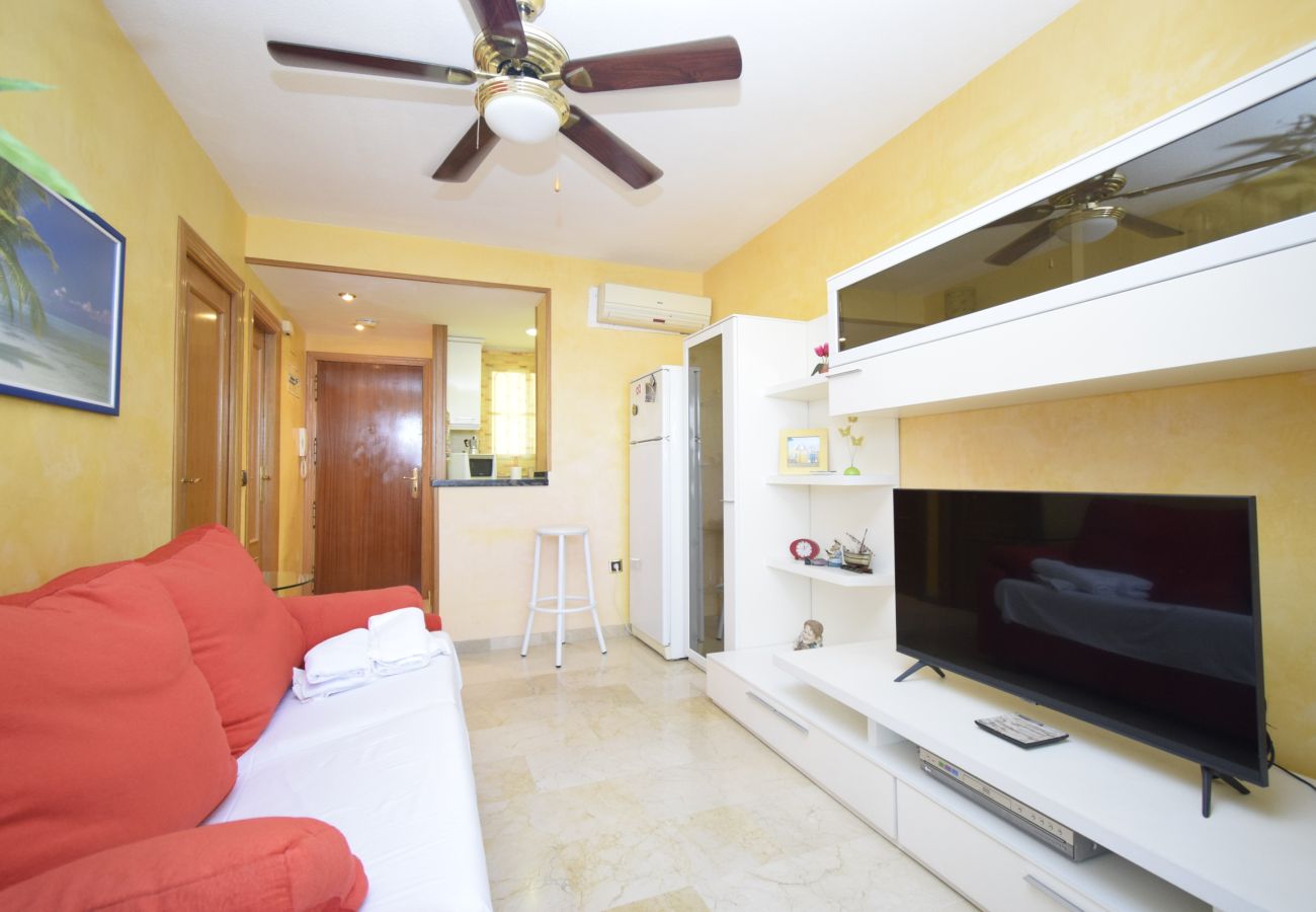 Apartment in Benidorm - TRINISOL 2 (1 BEDROOM)