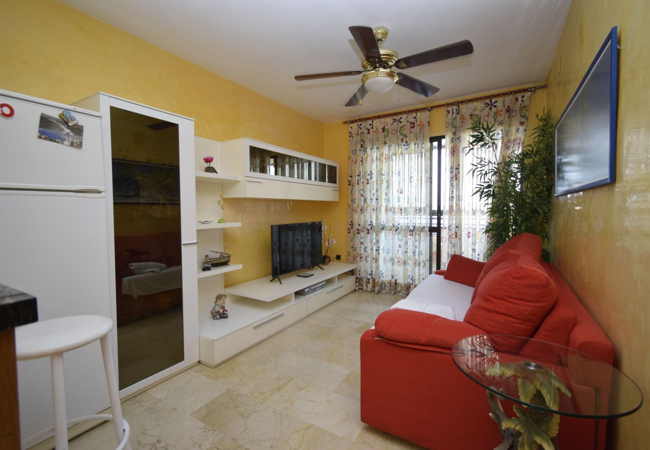 Apartment in Benidorm - TRINISOL 2 (1 BEDROOM)