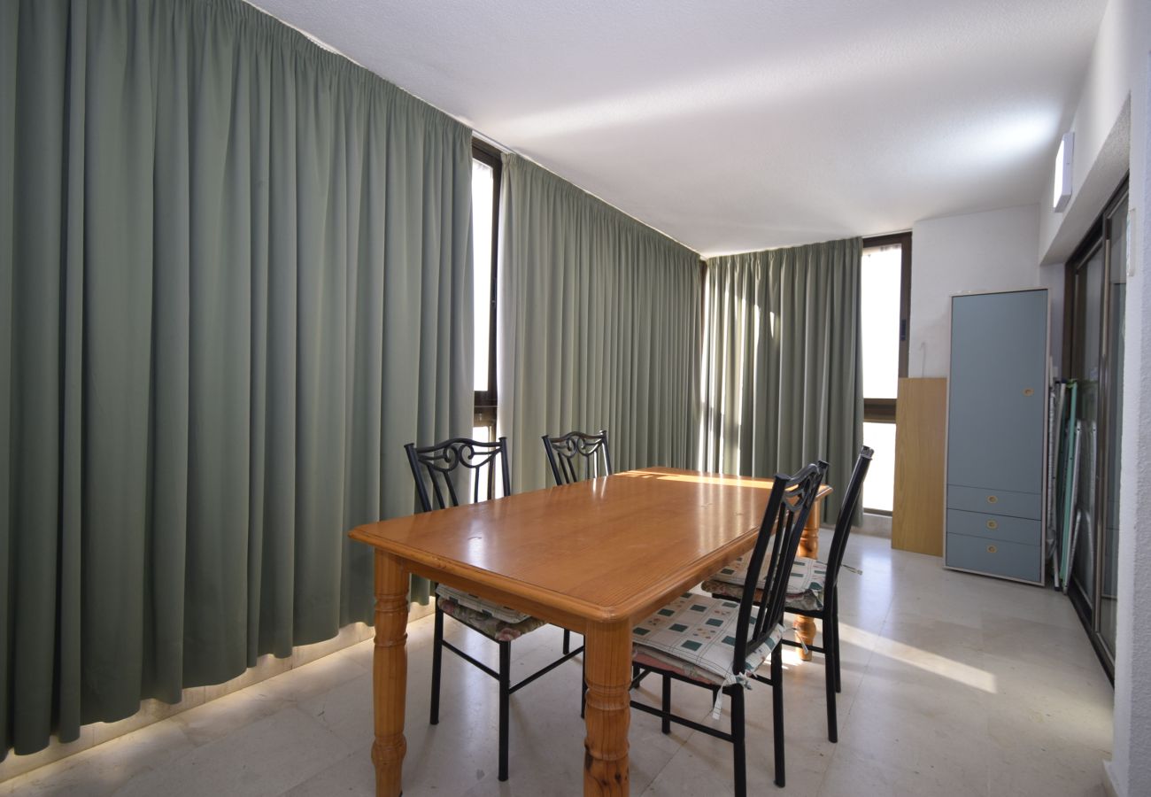 Apartment in Benidorm - LOS GEMELOS (3 BEDROOMS)